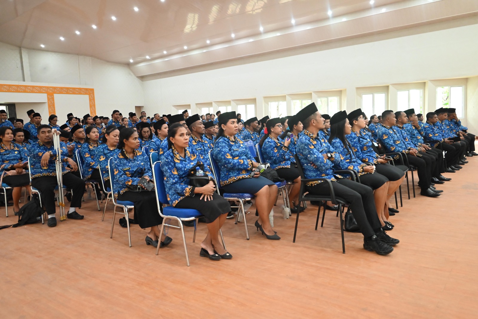 Sunlit forest path with green canopy